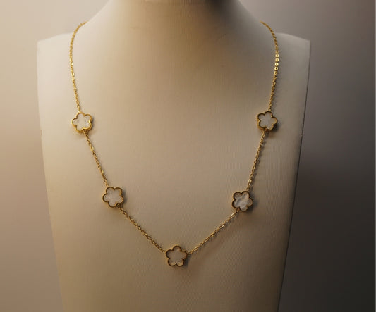 Collar Ame